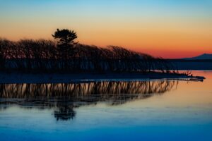 A lone tree silhouetted against a glowing dawn sky reflected on a calm lakeshore in central Japan, fine art landscape by Mitsuki